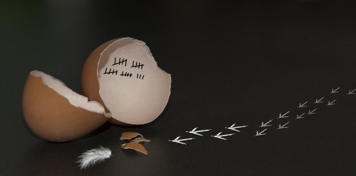 Nos prestations sur le secteur de Bordeaux Gironde 33