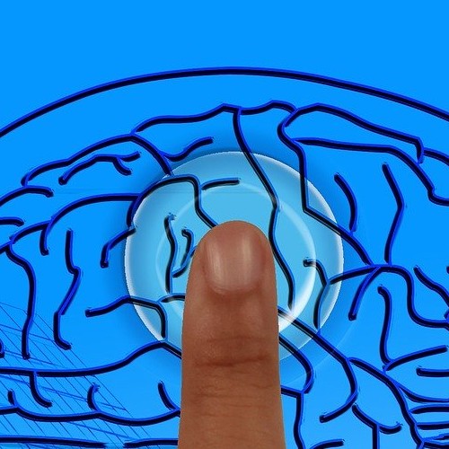 Nos prestations sur le secteur de Bordeaux Gironde 33