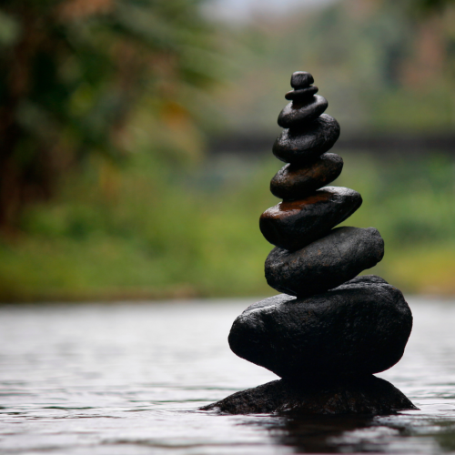 Nos prestations sur le secteur de Saint-Denis Seine-Saint-Denis 93