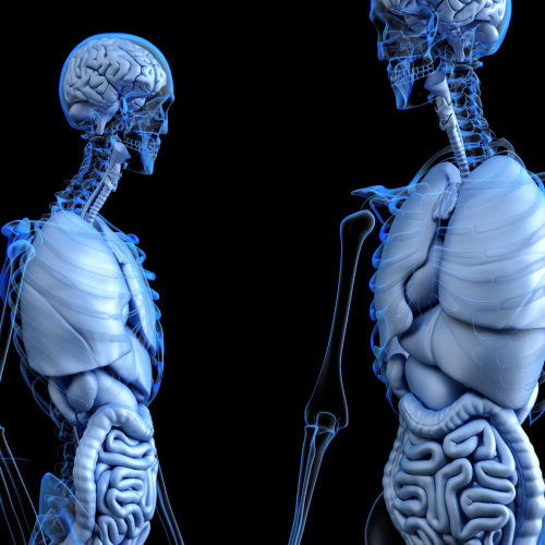 Nos prestations sur le secteur de Issy-les-Moulineaux