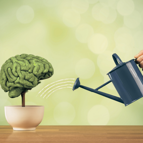 Notre zone d'activité pour ce service Aménagement des espaces de travail workplace