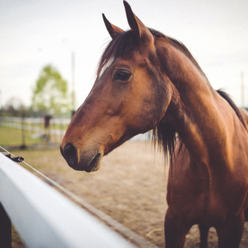 Notre zone d'activité pour ce service Réduire les accidents du travail et les maladies professionnelles