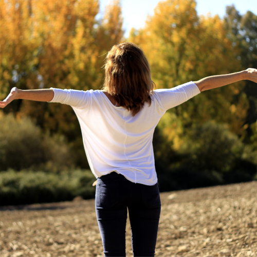 Nos prestations sur le secteur de Massy Essonne 91