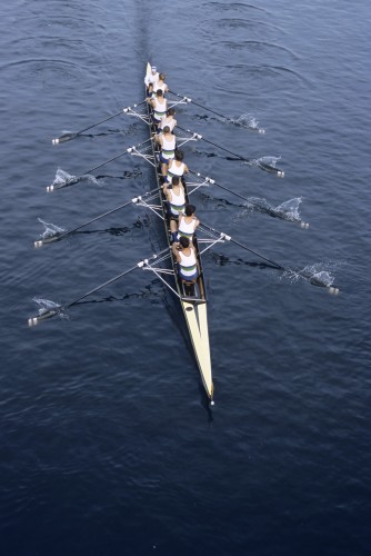 Nos prestations sur le secteur de Issy-les-Moulineaux